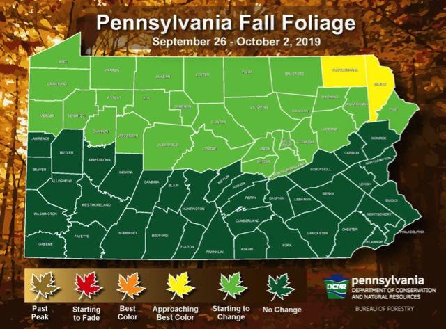 Prepare For Beauty Leaves In Crawford County Are Starting To Change News Meadvilletribune Com
