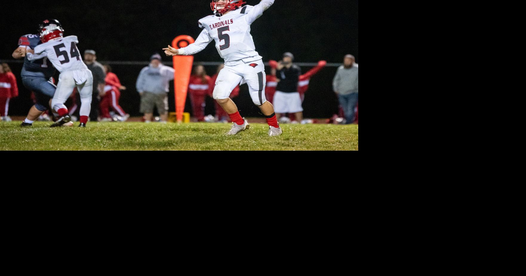 Turnovers add up for Cardinals in loss at Lakeview Local Sports