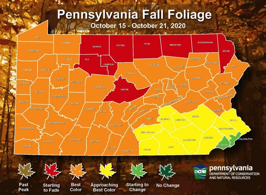 Peak fall foliage season has arrived in northwestern Pennsylvania