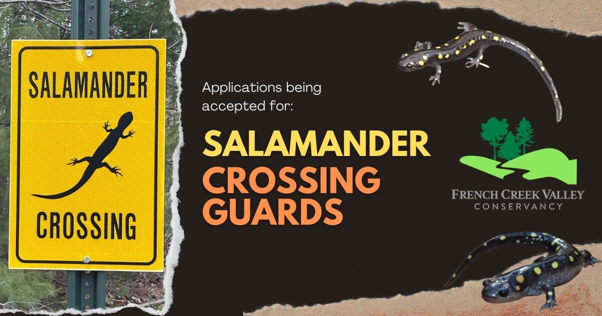 Local organizations take to social media for April Fools' Day