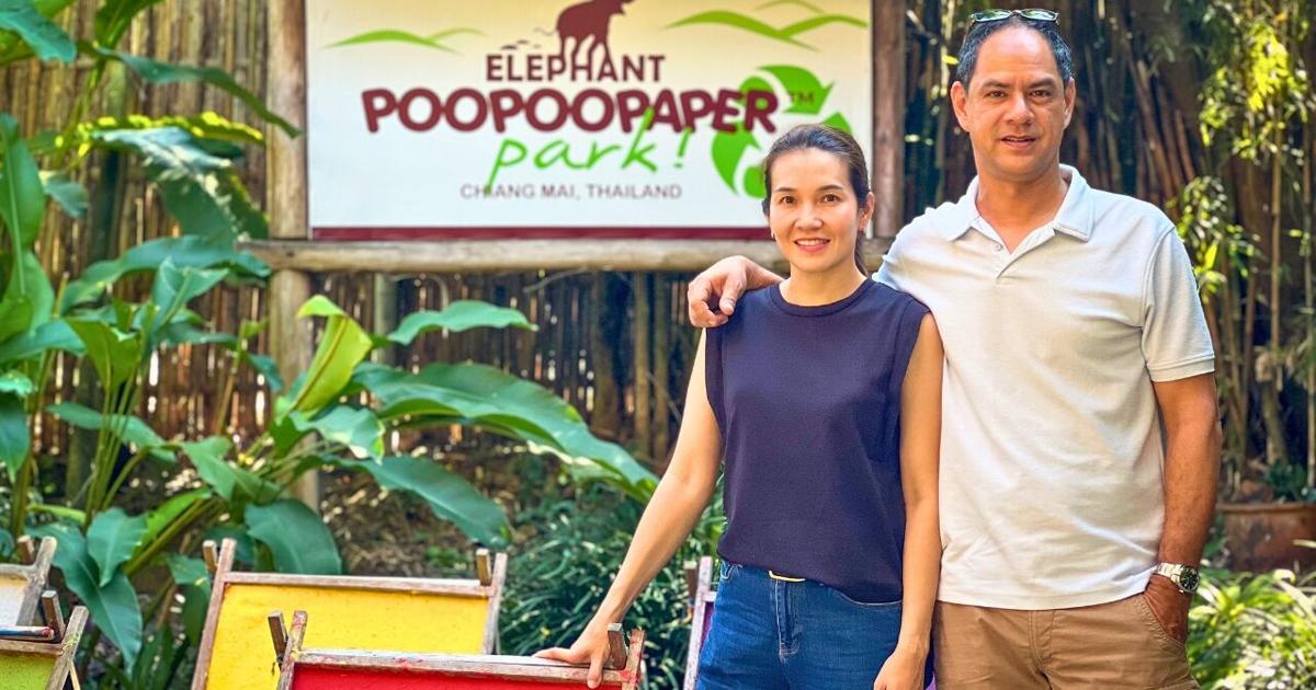 Elephant Poo Poo Paper? An Expat’s Ingenious Alternative to Our Paper ...