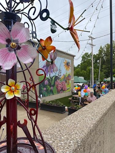 Medina Bee Park opening beautifies South Town | Medina County Events ...