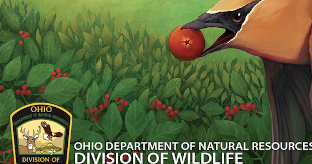 Legacy Stamps Available Ohio Department Of Natural Resources ODNR Legacy stamps available ohio department of natural resources odnr