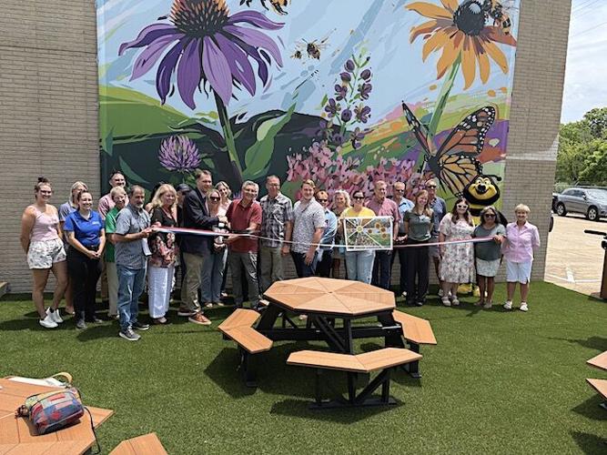 Medina Bee Park opening beautifies South Town | Medina County Events ...