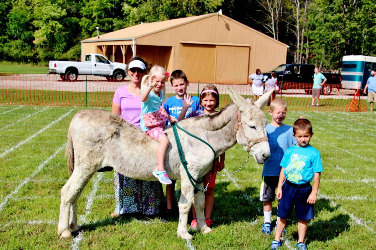 Willowood Care Center�s Donkey Drop, by Angel Huston