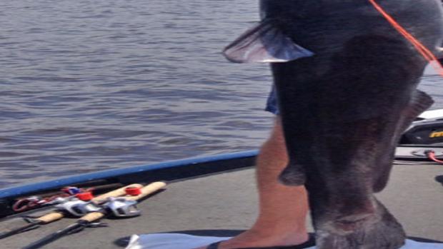 Murphy lands monster blue on Okatibbee Lake