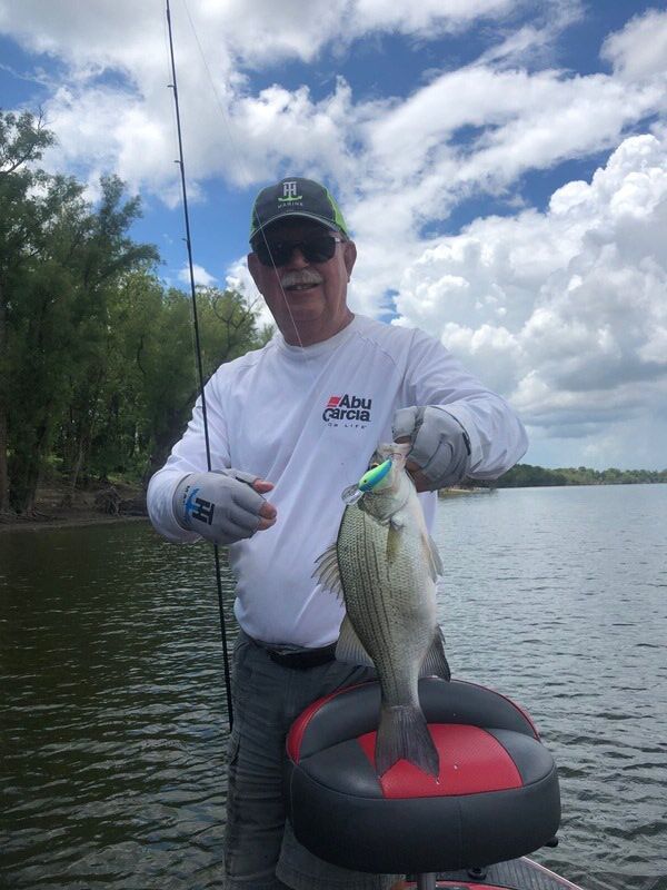 Mississippi River stripers : r/bassfishing