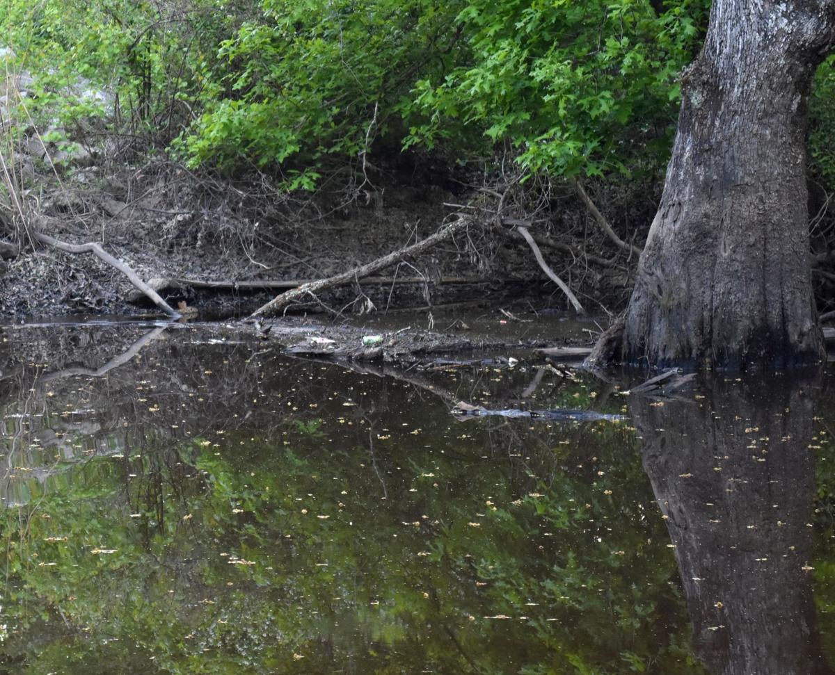 GALLERY: Nanih Waiya Mound | Local News | meridianstar.com