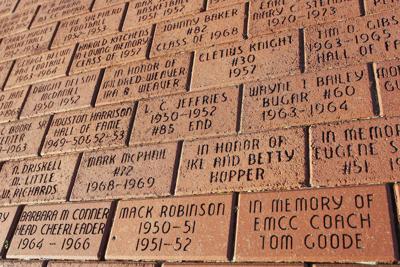Petition · Help Bring Back Brick Bronze! ·