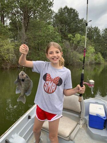BRAD DYE: Red top clover and big bream, Outdoors