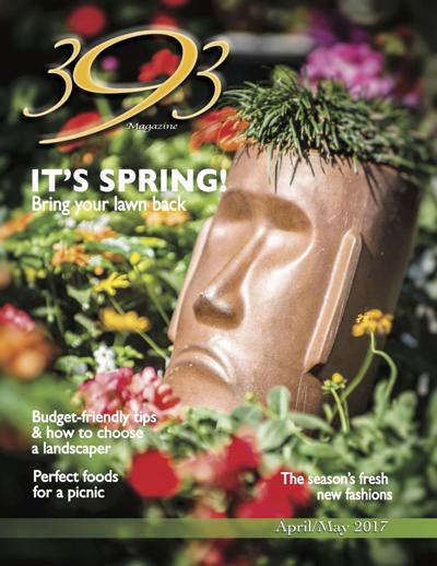 393 Magazine April/May 2017