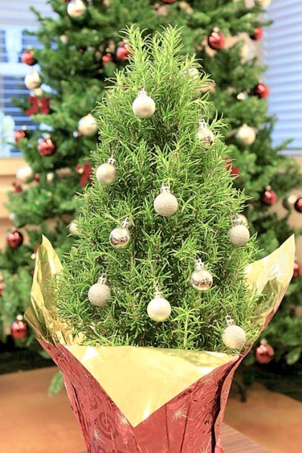 Mua sắm christmas decorations home depot giá tốt tại cửa hàng Home Depot