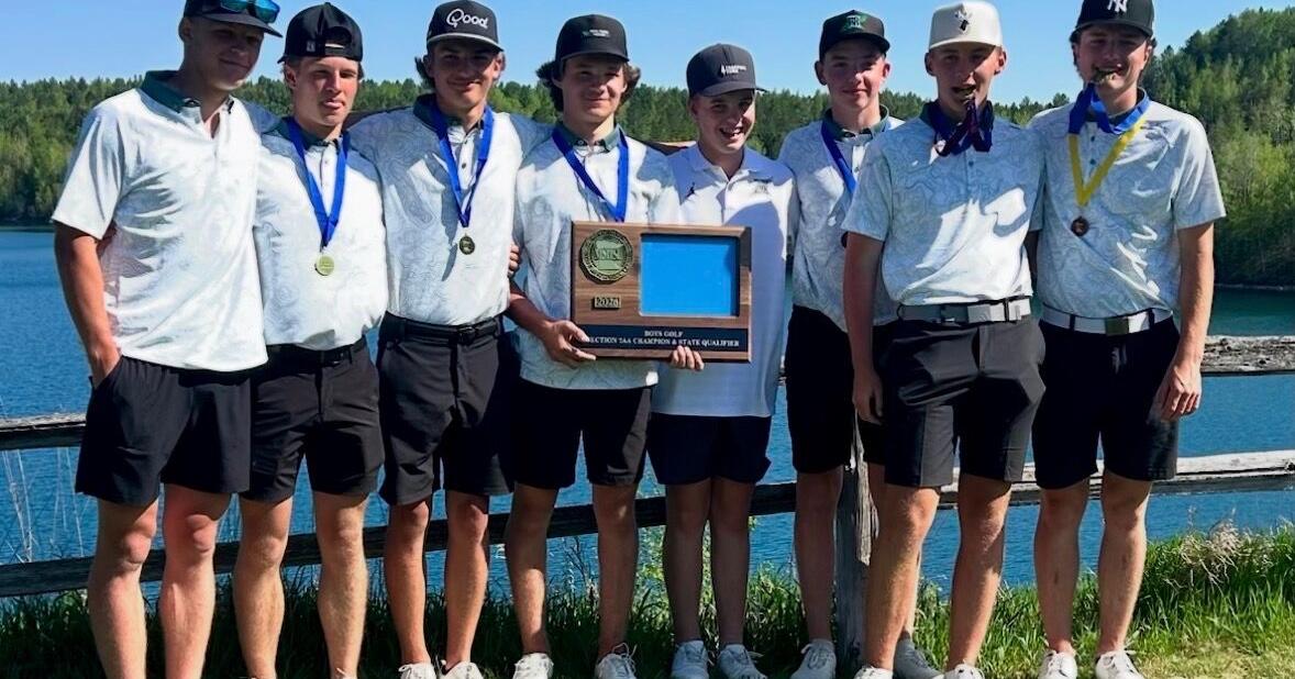 Wolverine boys' golf holds on for section crown