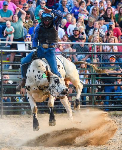 The Word Bull Riding Bull Riding | Gallery | mesabitribune.com