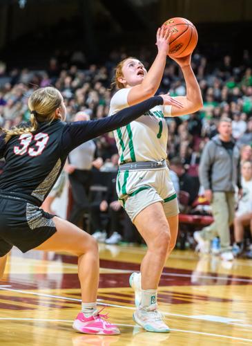 Wolverines fall to Cardinals in state quarterfinals, 67-50 | Sports ...