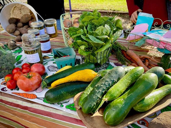 Fat Chicken Farm owner to speak at library about natural gardening Local