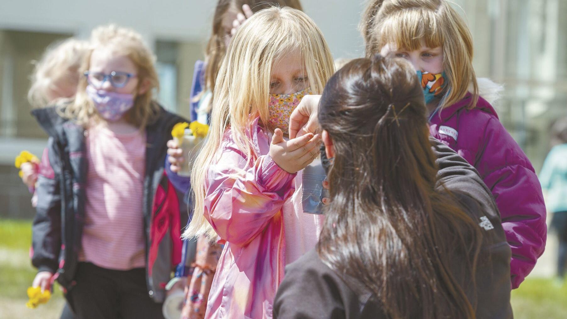 Planting sunflowers - Vimarsana News