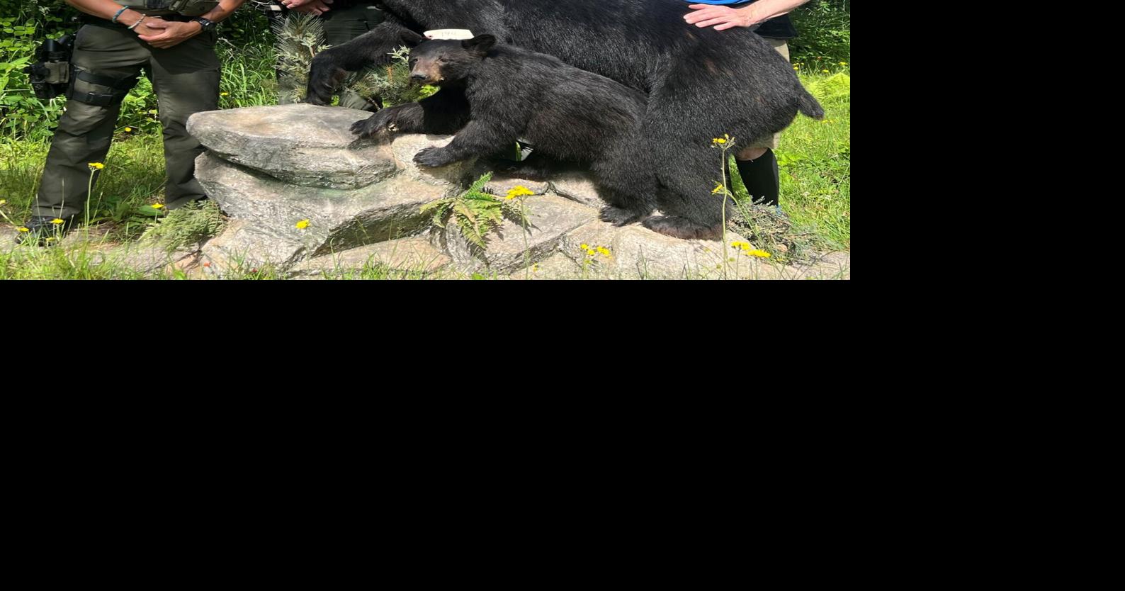 Klabechek's wildlife work honored by DNR