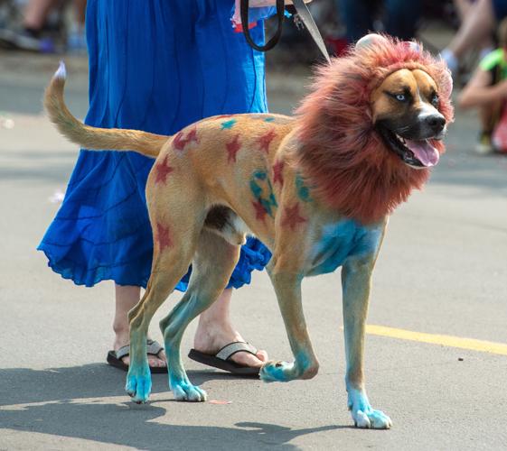 Hibbing Jubilee Parade Gallery