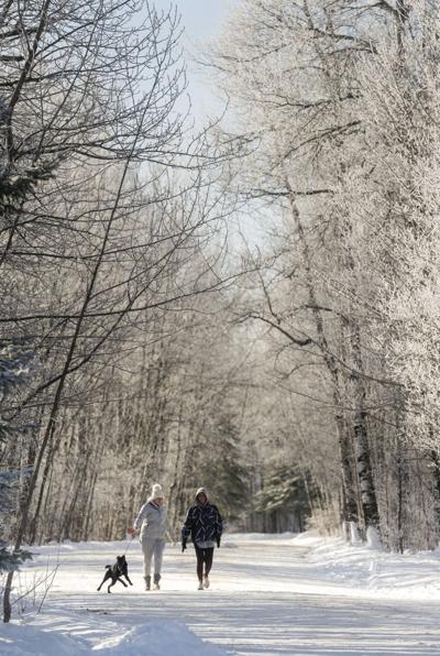 Winter Wonderland