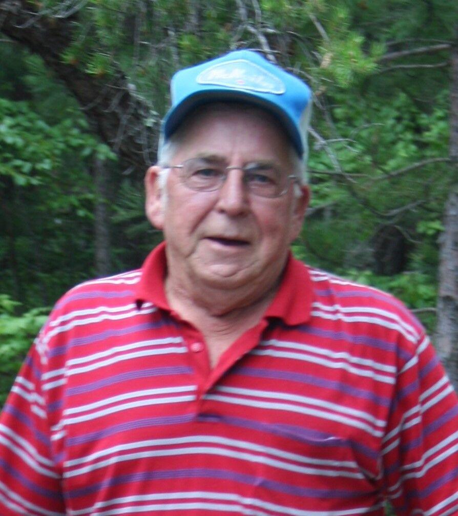 Raymond (Ray) Walfred Johnson Obituaries