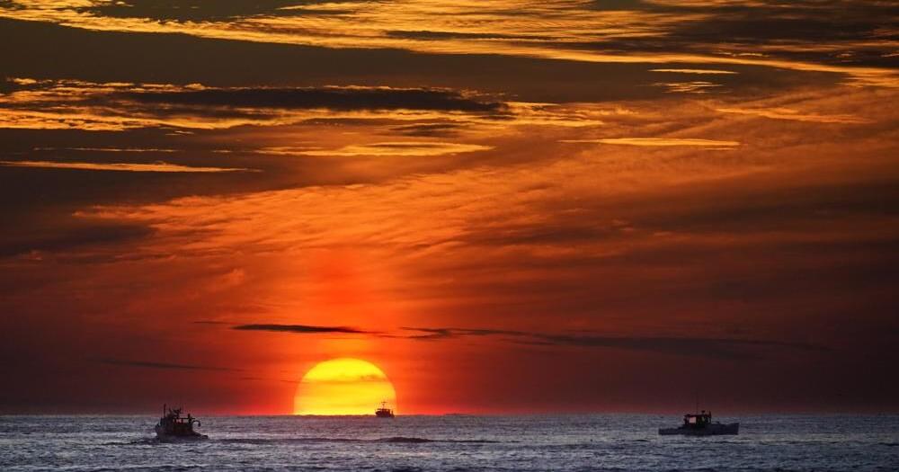 Deep seabed mining plans pit renewable energy demand against ocean life ...