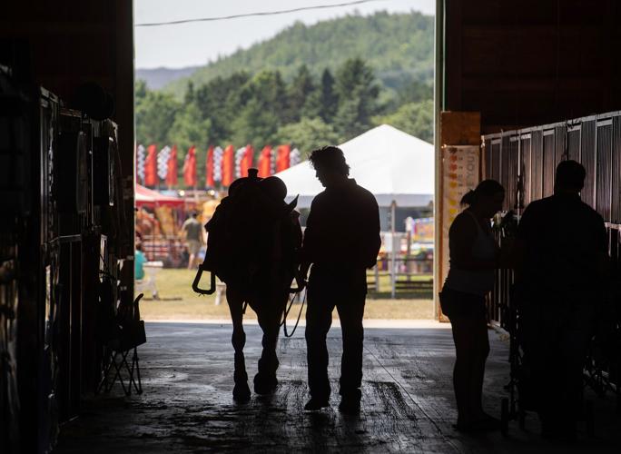 St. Louis County Fair Gallery