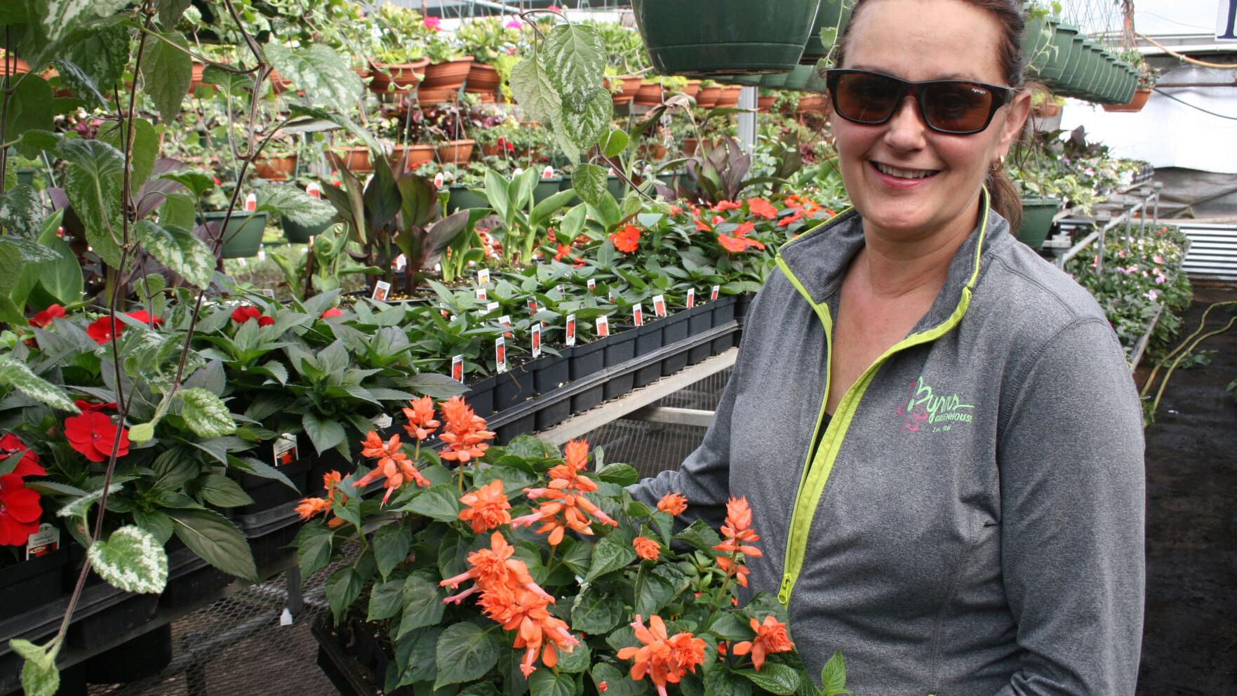 A season of green: Greenhouse owners expect strong 2021 sales - Vimarsana News
