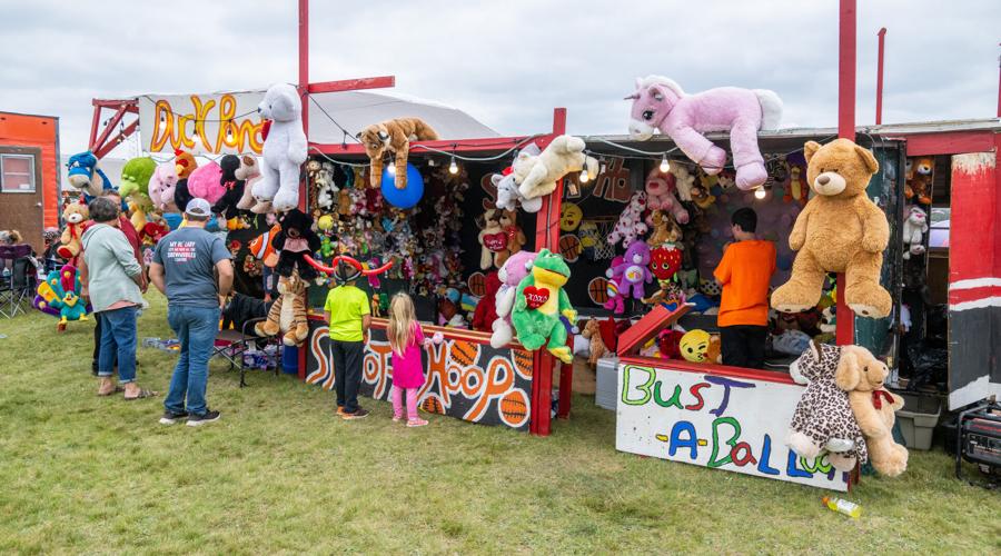 Embarrass Fair Gallery