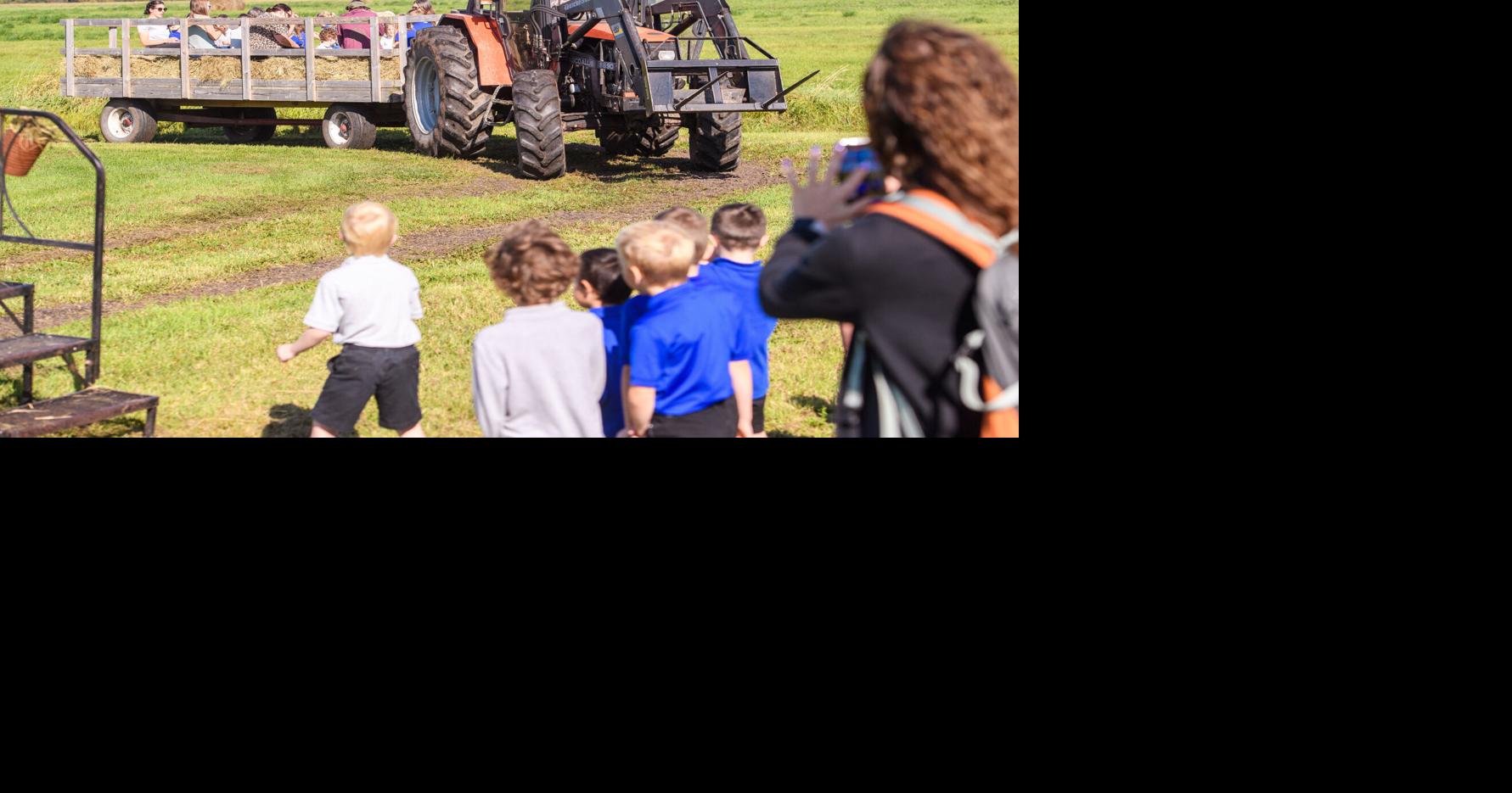 Simek's Farm turns 100 | Local | mesabitribune.com