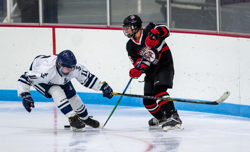 HibbingNorthern Lakes Hockey Gallery