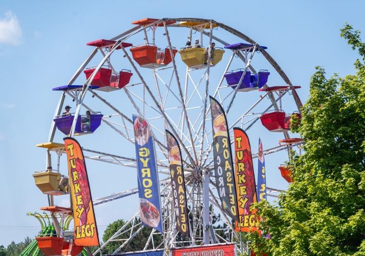 St. Louis County Fair Gallery