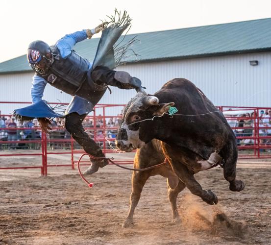 Bull Riding Gallery