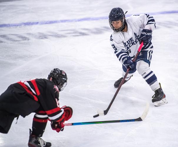 HibbingNorthern Lakes Hockey Gallery