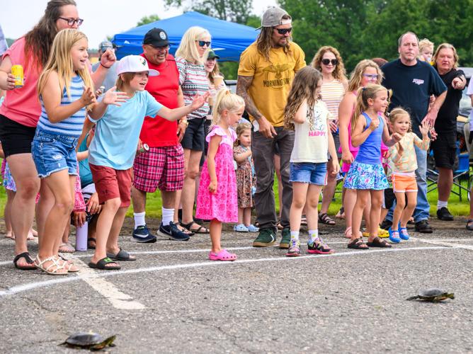 Turtle Races | Gallery | mesabitribune.com