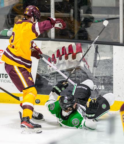 Rock Ridge-Forest Lake Hockey | Gallery | mesabitribune.com