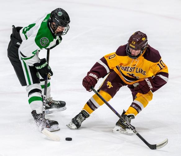 Rock Ridge-Forest Lake Hockey | Gallery | mesabitribune.com