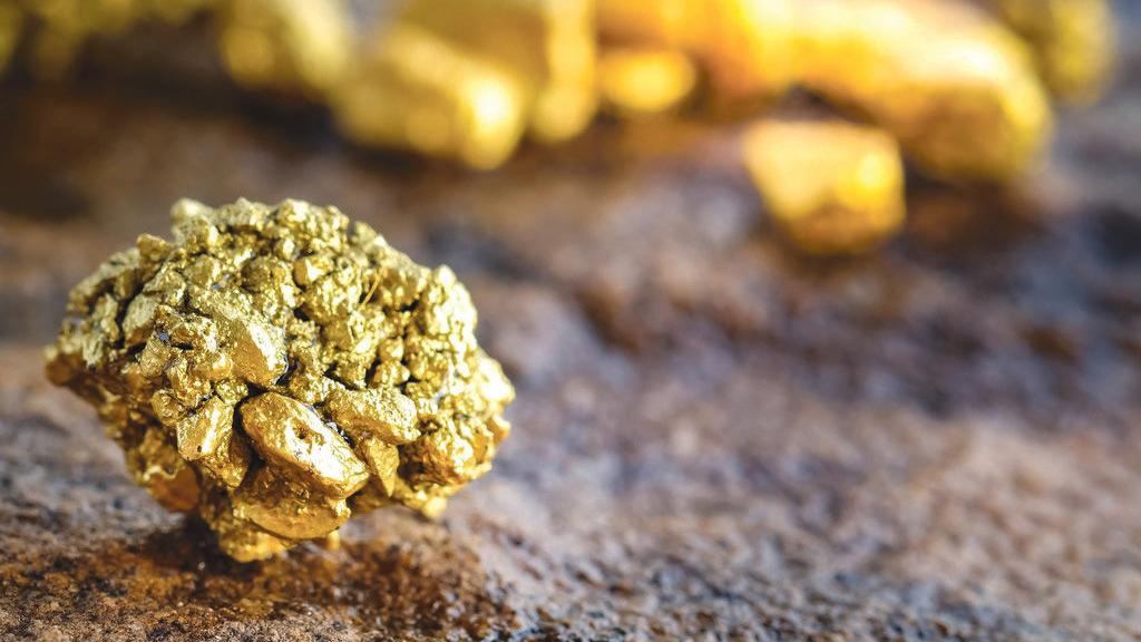 Gold Rush Rochester Mn 2025