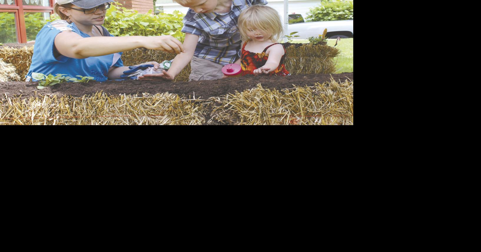 Hibbing Public Library community garden project | Local | mesabitribune.com