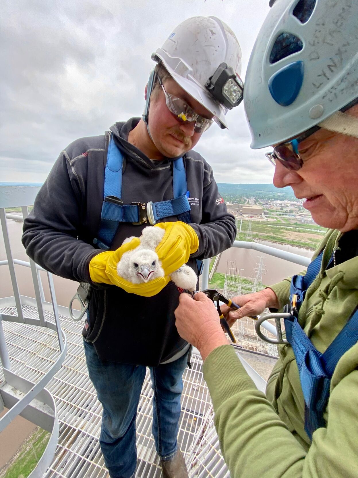 Have bands, will travel! | Local | mesabitribune.com