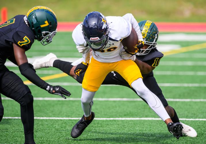 Mesabi RangeRochester Football Gallery