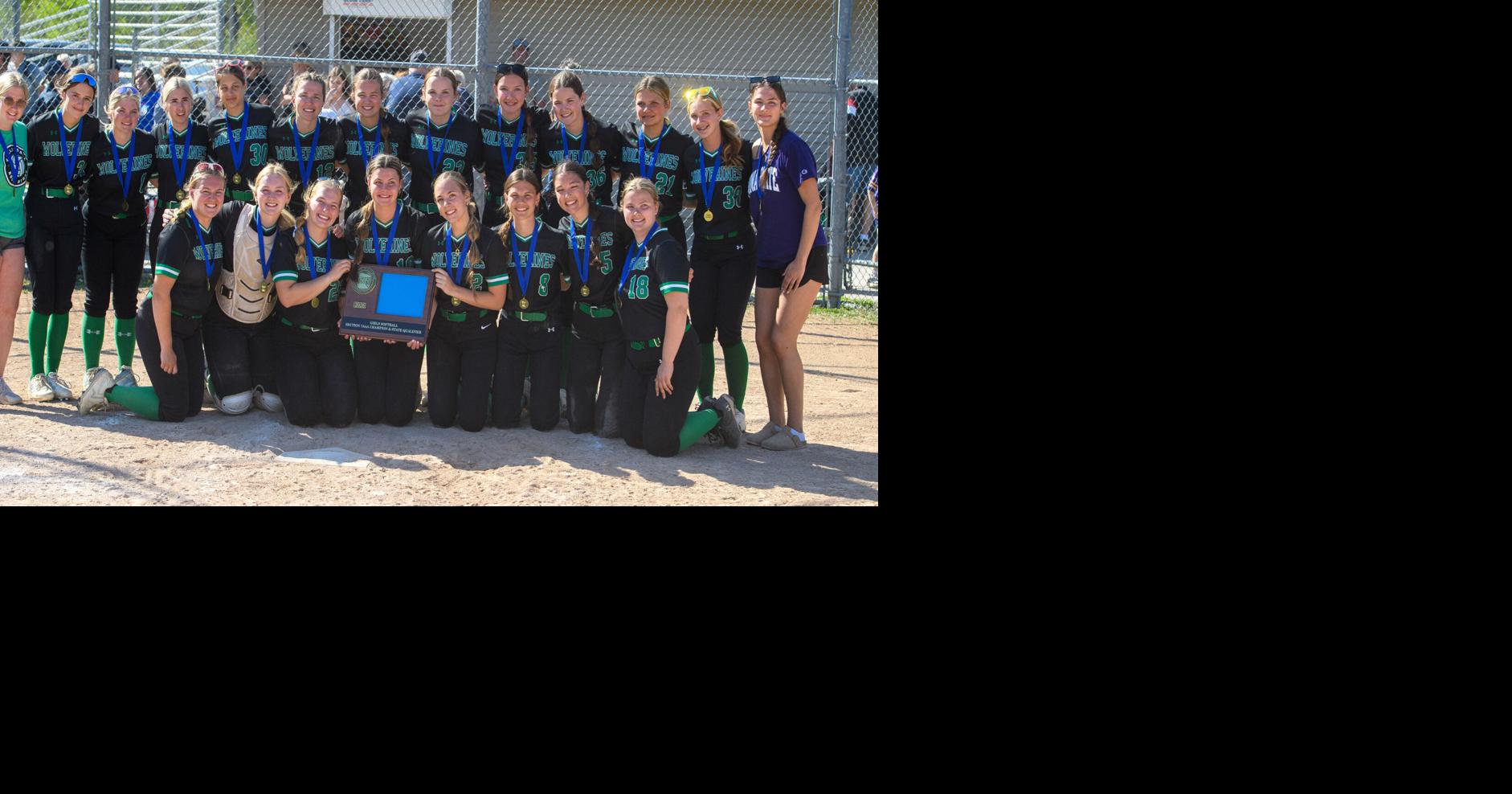 Wolverines ground Hawks 4-0 to win first ever section crown