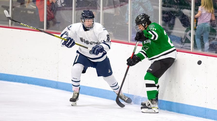 Hibbing Rock Ridge Hockey Gallery