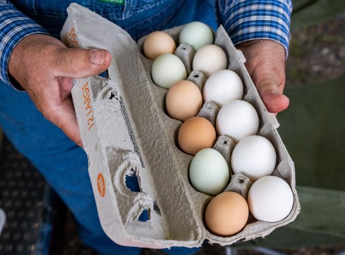 Hibbing Farmers Market opens for 2023 season Local