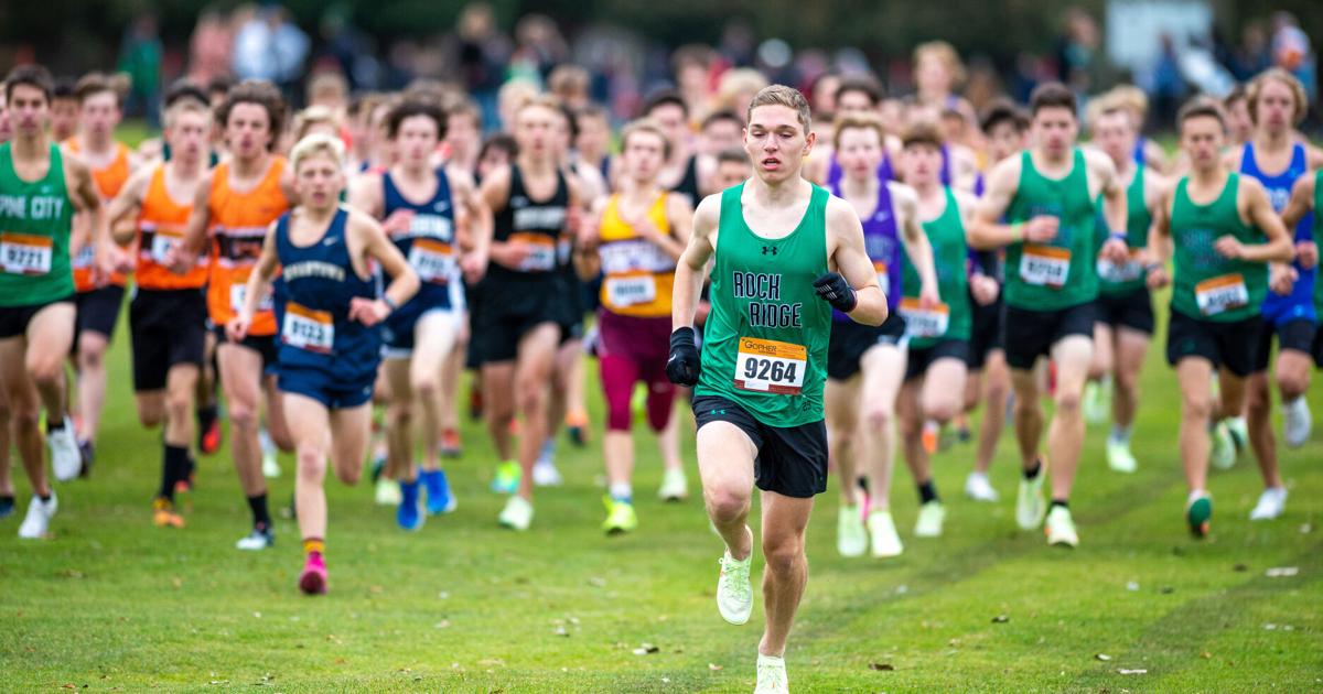 Rock Ridge, Stocke dominant; Wolverines make it back to back Section ...