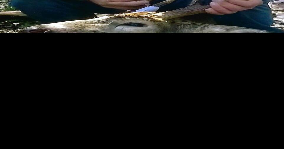 Terry Lee Hughes Obituaries