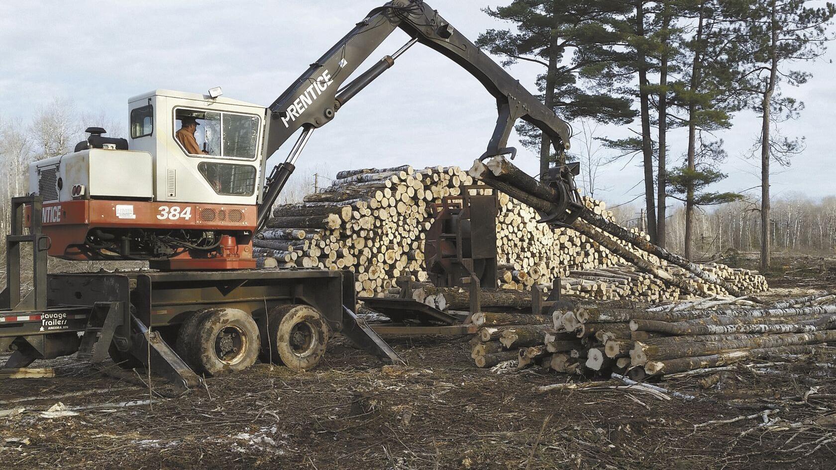 Loggers get a cut from federal relief program - Vimarsana News