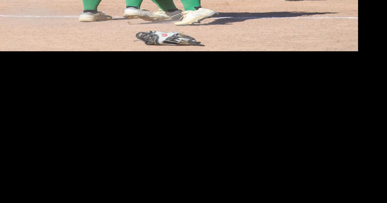 Rock Ridge Section 7AAA Softball Championship