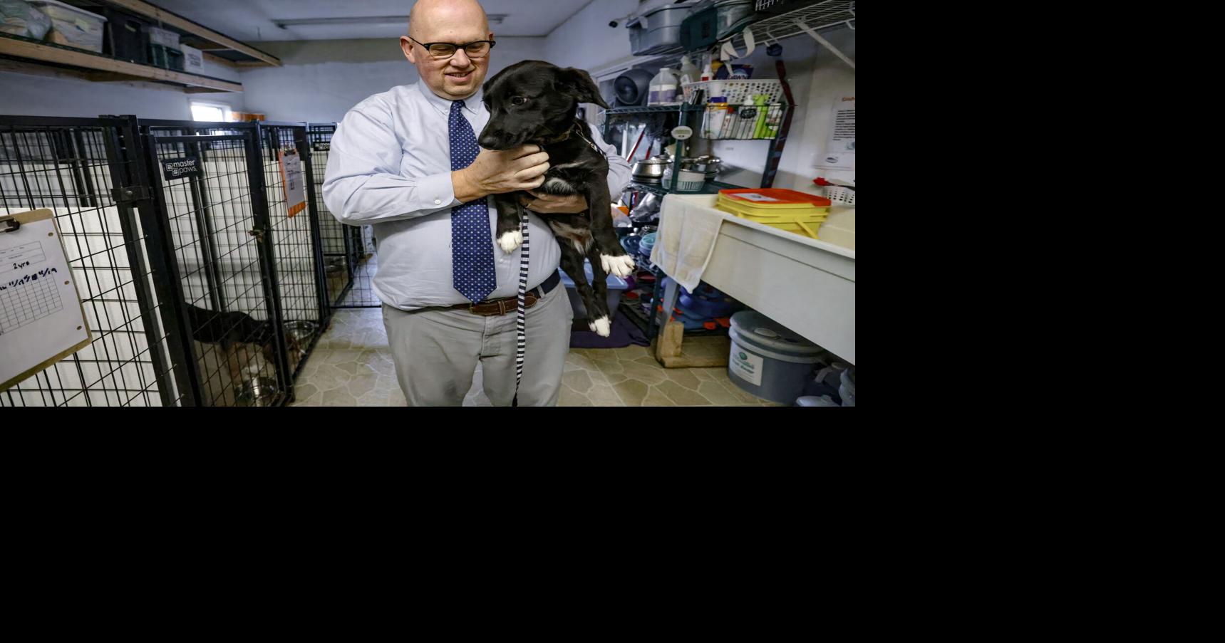 SparKy seeing rise in stray animals | Local News | messenger-inquirer.com