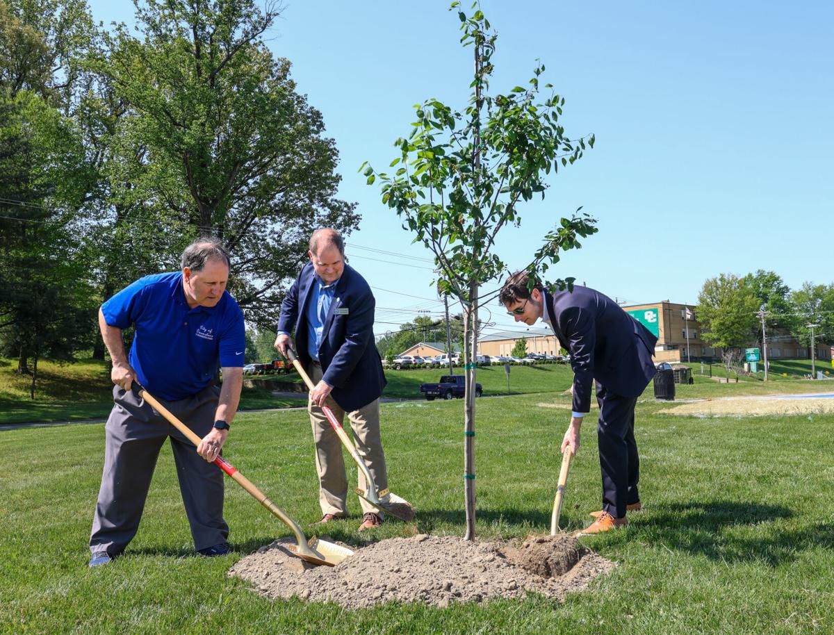 City recognizes Arbor Day | Local News | messenger-inquirer.com